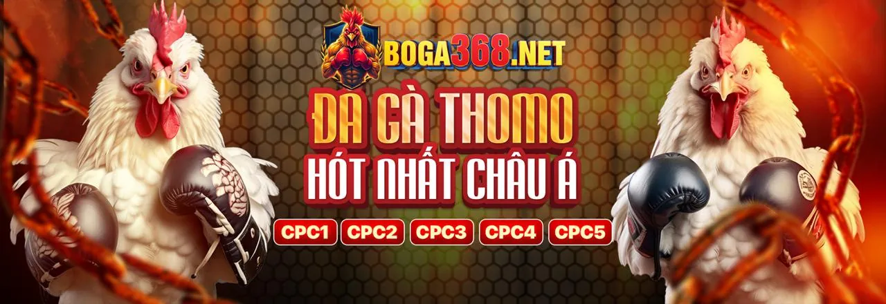 Tham gia Loto188o và tải ứng dụng