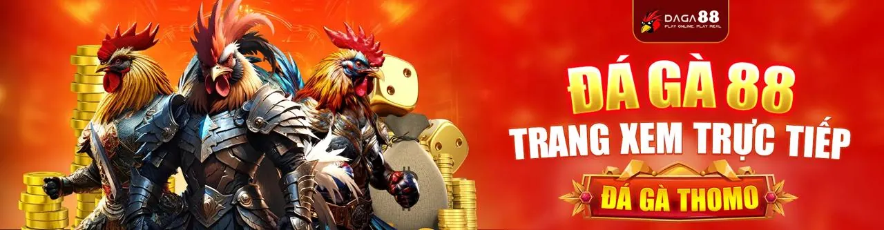 Đá Gà Trực Tiếp Loto188o